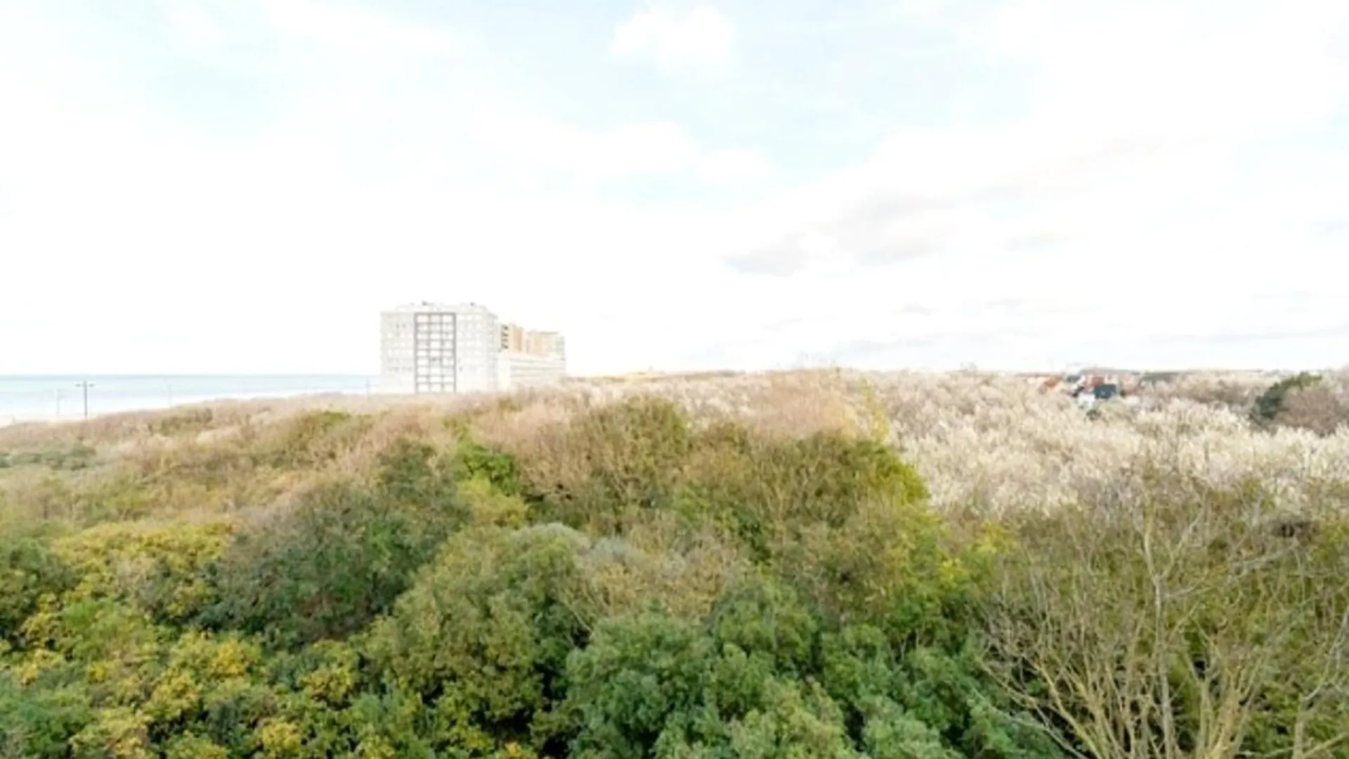 Apartment With View Of Sea And Dunes Middelkerke